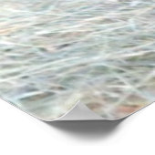 Foto van honing Beer (Sun Beer) Poster (Hoek)