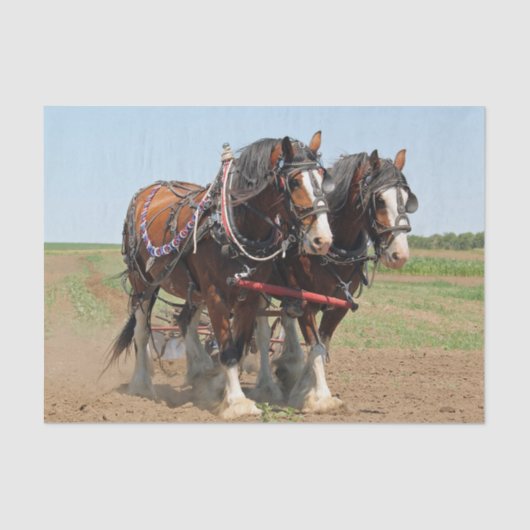 Foto van Horse Clydesdale Farming Tissuepapier (Voorkant)