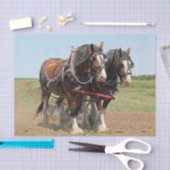 Foto van Horse Clydesdale Farming Tissuepapier (Craft)