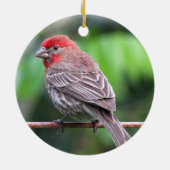 Foto van House finch Keramisch Ornament (Achterkant)