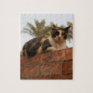 Foto van huisdieren puzzel