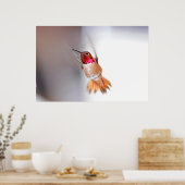 Foto van Hummingbird Flying Poster (Keuken)