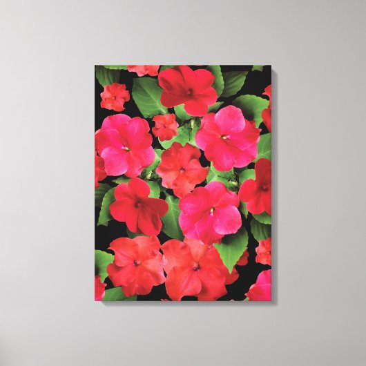 Foto van Impatiens Flowers Canvas Afdruk (Voorkant)