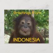 Foto van INDONESIA Briefkaart (Voorkant)