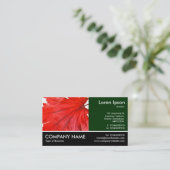 Foto van Japanse aple Leaf Visitekaartje (Staand voorkant)