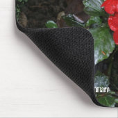 Foto van John Tammaro Muismat (Hoek)