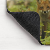 Foto van John Tammaro Muismat (Hoek)