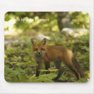 Foto van John Tammaro Muismat