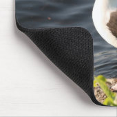 Foto van John Tammaro Muismat (Hoek)