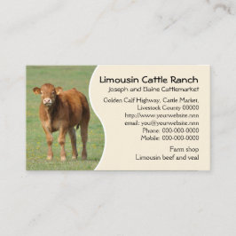 Foto van kalveren met kalverkalf visitekaartje