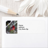 Foto van kardinaal sneeuwpijn etiket (Insitu)