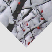 Foto van kardinale sneeuwboom tissuepapier (Detail)