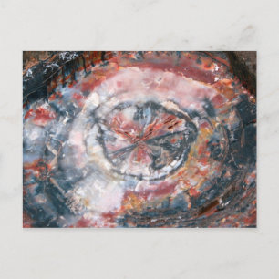 Foto van kleurrijk Petrified Wood Briefkaart