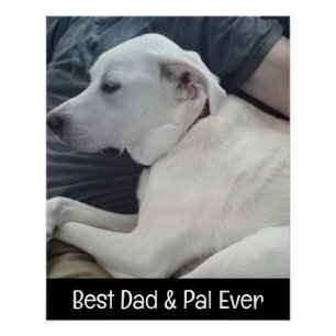 Foto van knappe hond met beste vriend ooit vierkan perfect poster