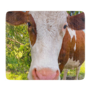 Foto van koeienvlees Boerderij Snijplank