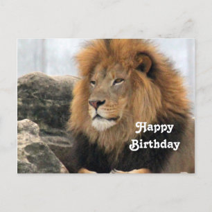 Foto van Leeuw Verjaardag Briefkaart