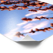 Foto van lente bloesems afdruk (Hoek)