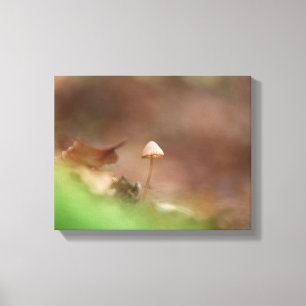 Foto van Little Mushroom Natuur Canvas Afdruk