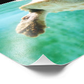 Foto van Loggerhead #3 Afdruk (Hoek)