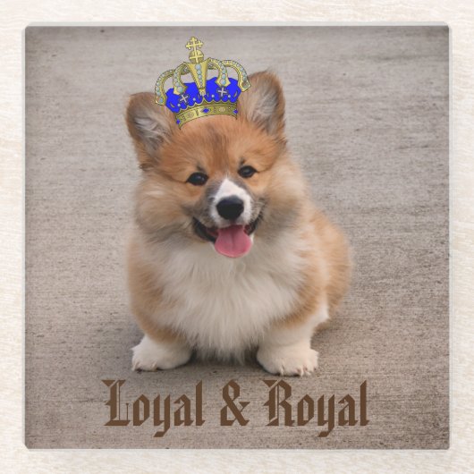 Foto van Loyal and Royal Corgi Puppy Glazen Onderzetter (Voorkant)