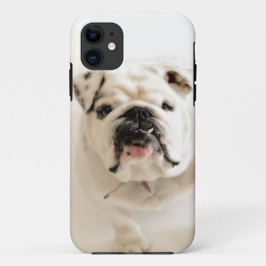 Foto van Loyal White Bulldog Case-Mate iPhone Case (Achterkant)