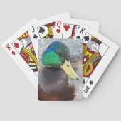 Foto van Male Mallard Duck Pokerkaarten (Achterkant)