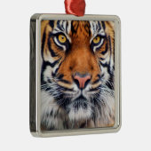 Foto van Mannelijke Siberische tijger Metalen Ornament (Rechts)