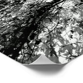 Foto van Maple Tree Inkblot Poster (Hoek)