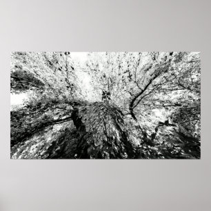 Foto van Maple Tree Inkblot Poster