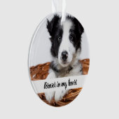 Foto van Memorial dog Ornament (voorkant)