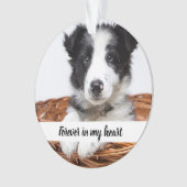 Foto van Memorial dog Ornament (voorkant)