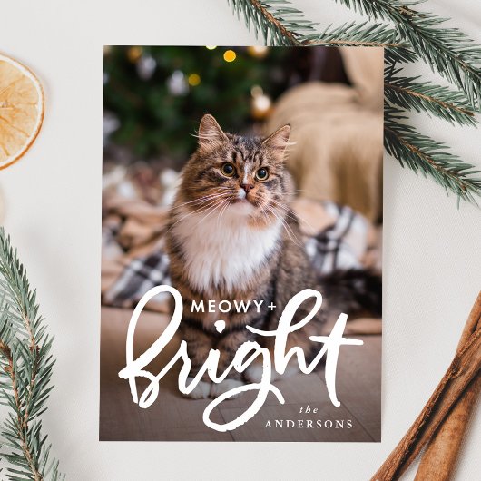 Foto van Meowy en Bright Cat Feestdagenkaart