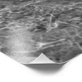  foto van Mexicaanse Farmer en Koeien Foto Afdruk (Hoek)