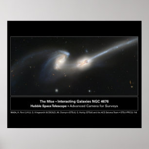 Foto van Mice Hubble Telescope Poster