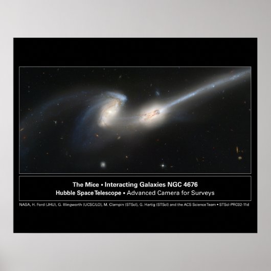 Foto van Mice Hubble Telescope Poster (Voorkant)