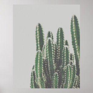 Foto van moderne, minimalistische groene cactus poster
