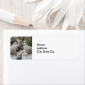 Foto van Mourning Doves Etiket (Insitu)