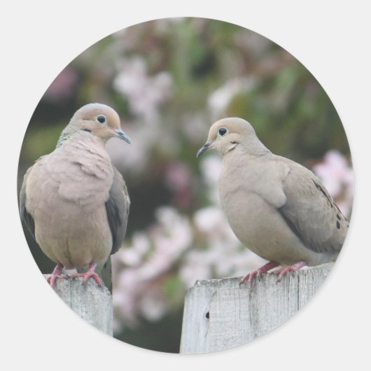 Foto van Mourning Doves Ronde Sticker (Voorkant)