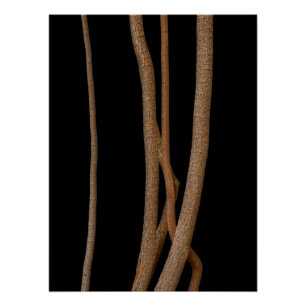 Foto van nog steeds Fine Art Life Perfect Poster