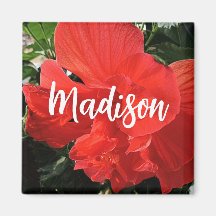 Foto van Oranje Dubbele Hibiscus Aangepaste Naam