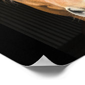 Foto van paardengezicht poster (Hoek)