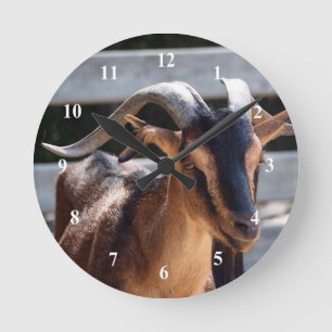 Foto van paardenstaarten ronde klok