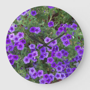Foto van Paarse Phlox-bloemen op een Grote Klok
