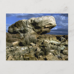 Foto van paddenstoel Rock Briefkaart