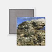 Foto van paddenstoel Rock Magneet (Voorkant / Achterkant)