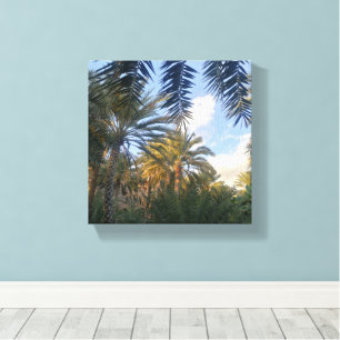 foto van palmboom canvas afdruk