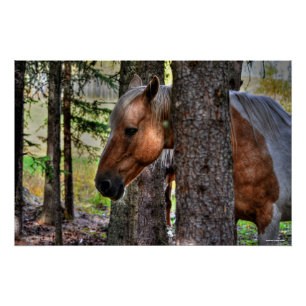 Foto van Palomino Paint Stallion & Forest Equine Perfect Poster
