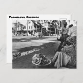  foto van Paramaribo Suriname Briefkaart (Voorkant / Achterkant)