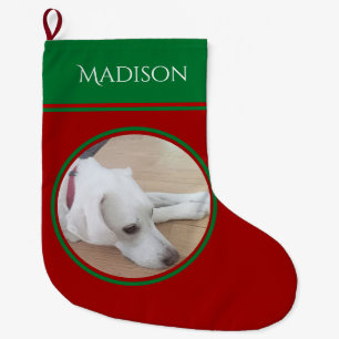 Foto van Peaceful White Dog Wearing Red Collar Grote Kerstsok