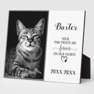  foto van Pet Memorial Fotoplaat